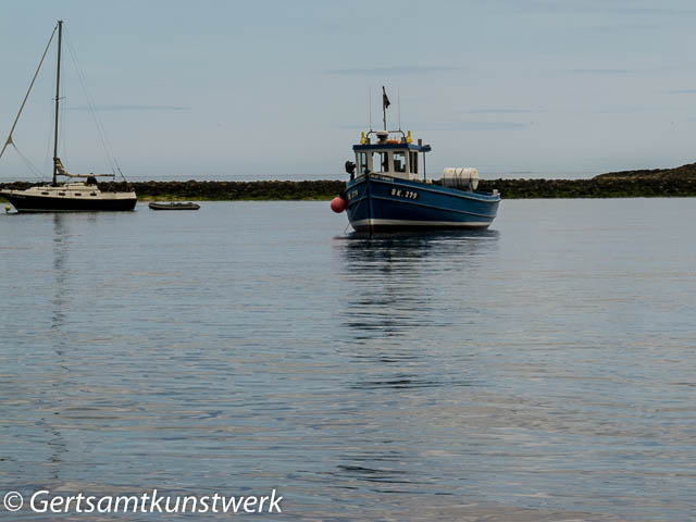 Farne boats