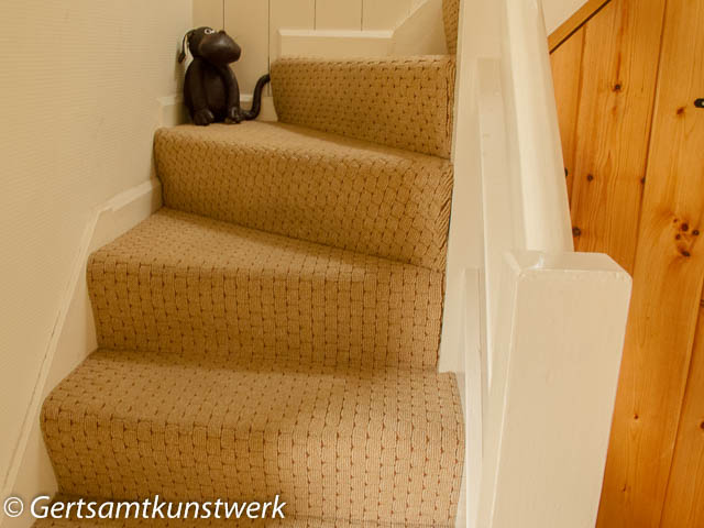 Stairs dog