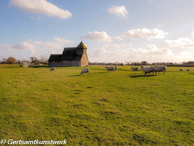 Church and sheep