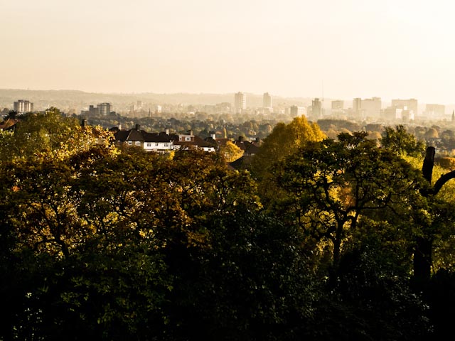 Croydon view