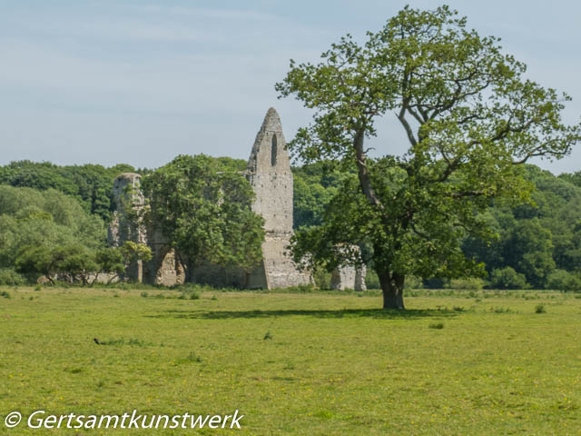 Newark ruins