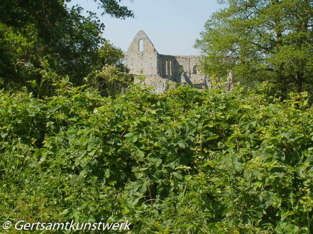 Priory ruin