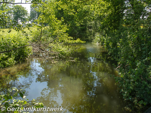 Reflected trees