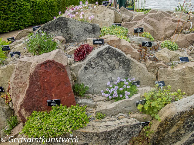 Rock garden