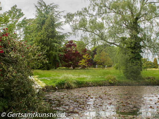 Grassy banks