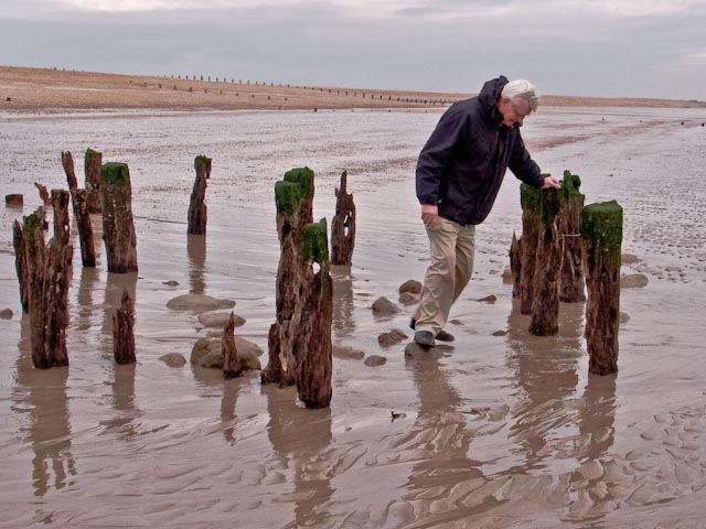 Jimmy on Winchelsea Beach