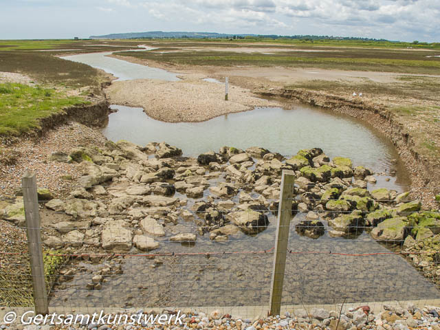 Salt marsh