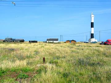 Dungeness