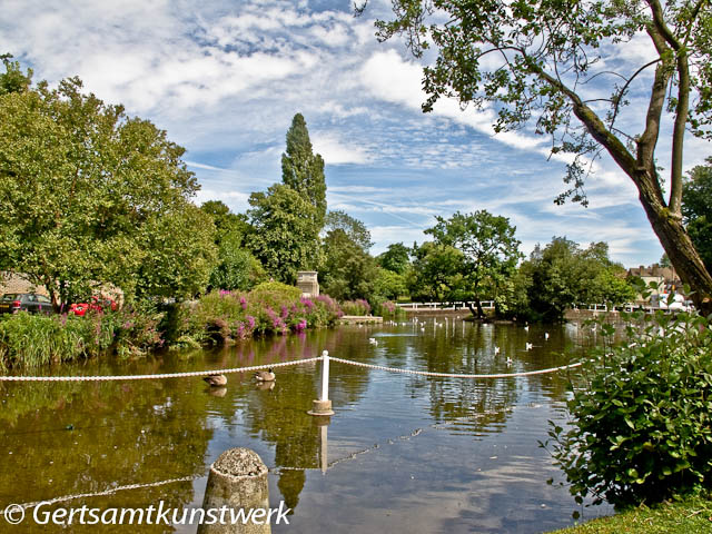 Carshalton Ponds