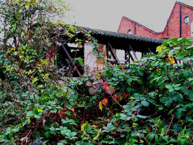 Dereliction