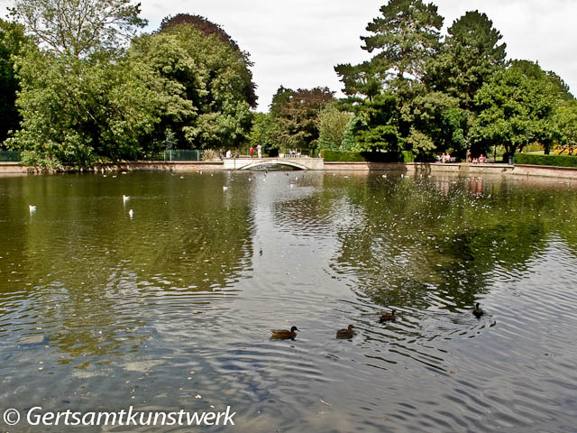 Pond and bridge