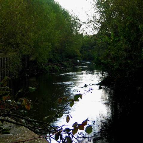 Upstream