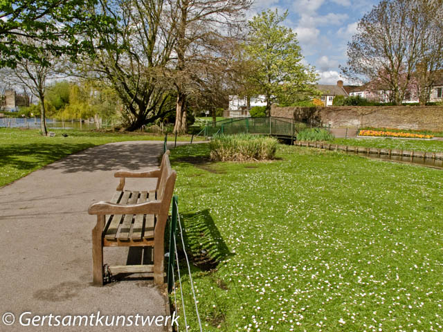 Waddon bench