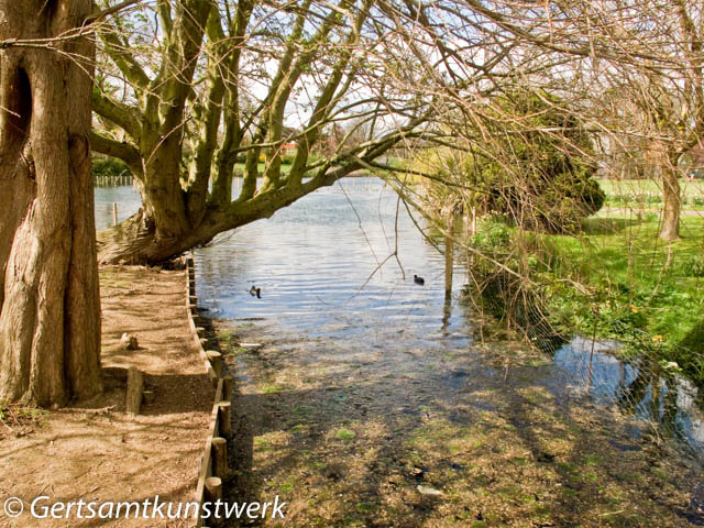 Waddon Ponds