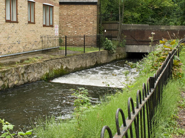 Weir at Ravensbury Park